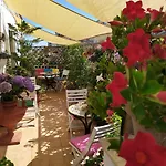 Roof Garden ألغيرو