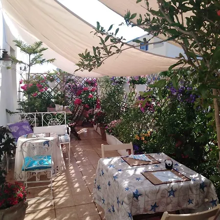 Roof Garden