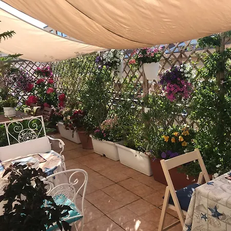 Roof Garden 3* 阿尔盖罗