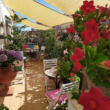 Roof Garden 3* 阿尔盖罗