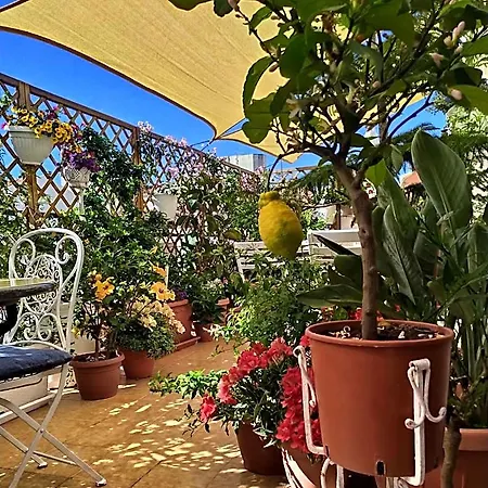 Roof Garden לינה וארוחת בוקר