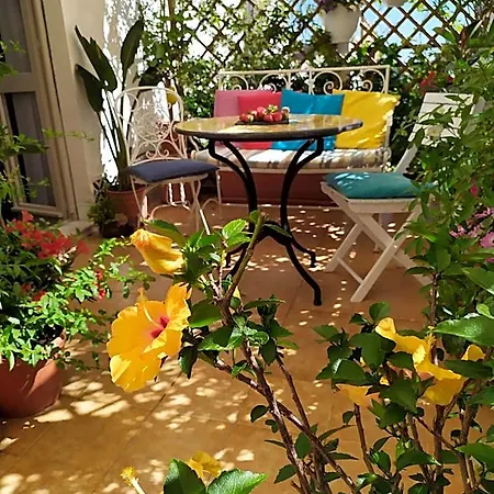 Roof Garden