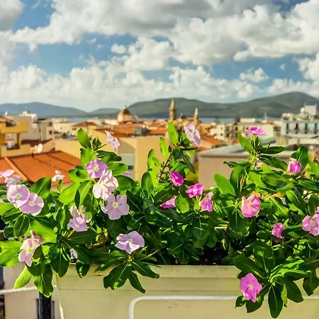 Roof Garden Bed & Breakfast